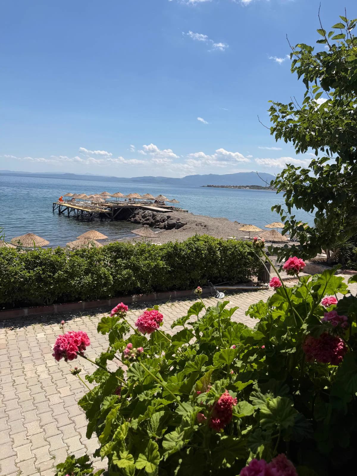 assos beach sahil deniz ve koy manzarası — Kadırga Koyu